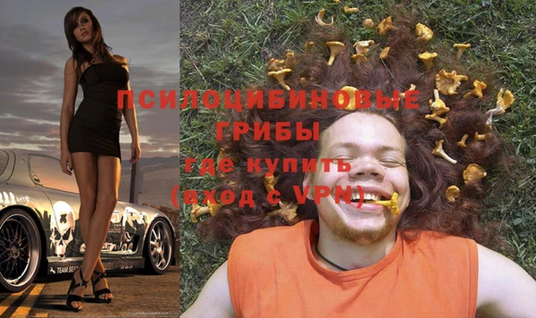 эйфоретик Алзамай