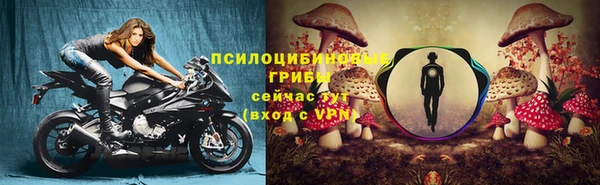 спайс Алексеевка