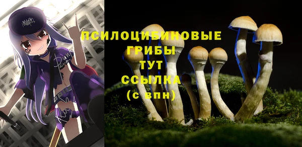 эйфоретик Алзамай