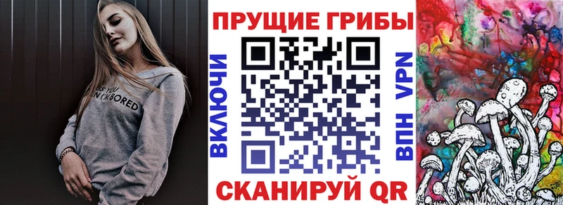 гидра ONION  Арамиль  Псилоцибиновые грибы Psilocybe 